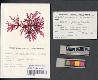 LE A0001663