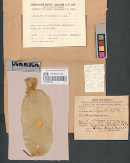 LE A0001674