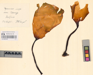 LE A0001676