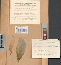 LE A0001678