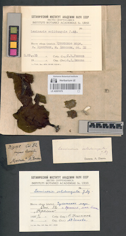 LE A0001679