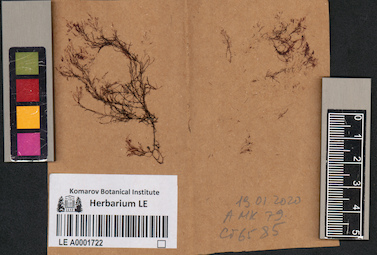 LE A0001722