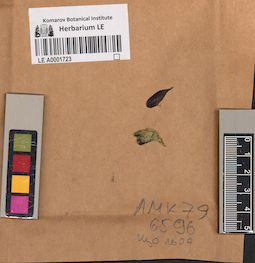 LE A0001723