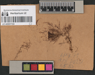 LE A0001724