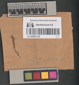 LE A0001725