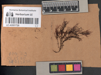 LE A0001726