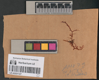 LE A0001727