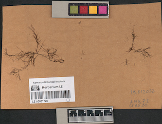 LE A0001728