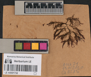 LE A0001732