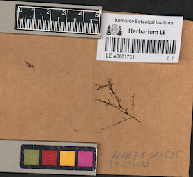 LE A0001733