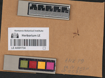LE A0001734
