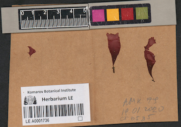LE A0001736