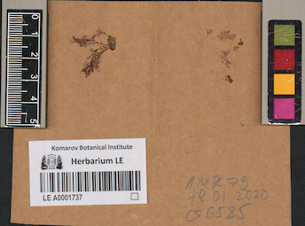 LE A0001737