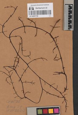 LE A0001739