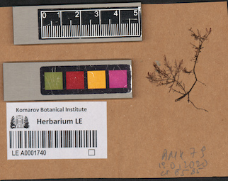 LE A0001740
