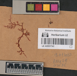 LE A0001741