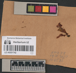 LE A0001742