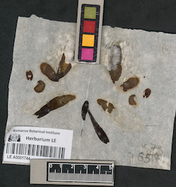 LE A0001744