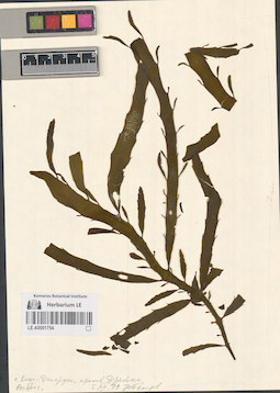 LE A0001754