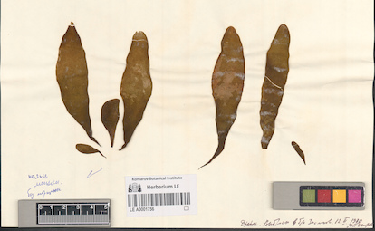 LE A0001756