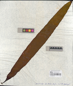 LE A0001758