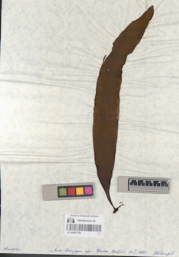 LE A0001759