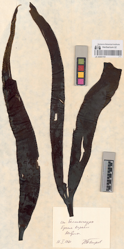 LE A0001761