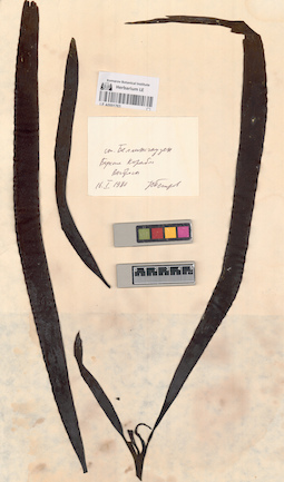 LE A0001763