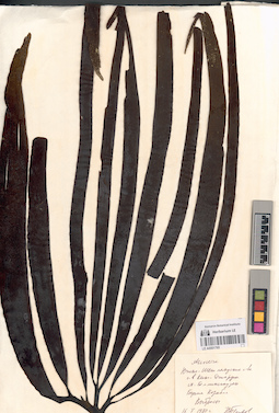 LE A0001765