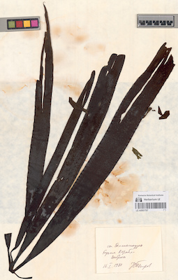 LE A0001767