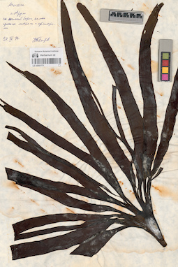 LE A0001771