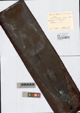 LE A0001773