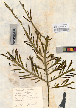 LE A0001777