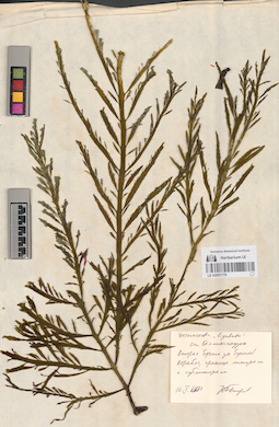 LE A0001778