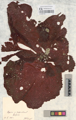 LE A0001783