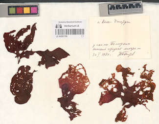 LE A0001789