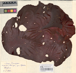 LE A0001790