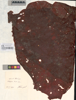 LE A0001791
