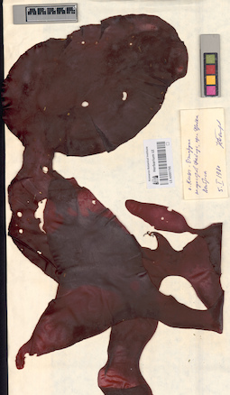 LE A0001795