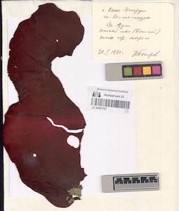 LE A0001797