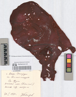 LE A0002082