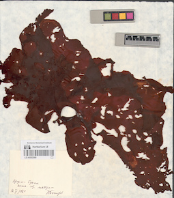 LE A0002089