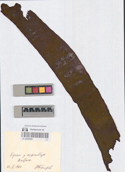 LE A0002099