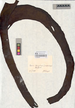 LE A0002102