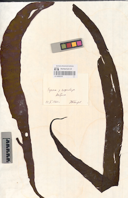 LE A0002103
