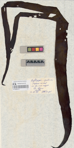 LE A0002112