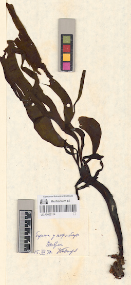 LE A0002114
