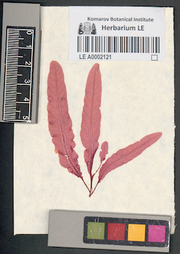 LE A0002121
