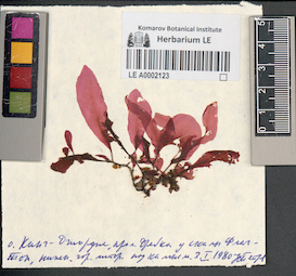 LE A0002123
