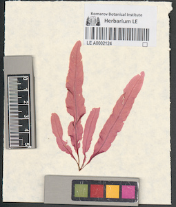 LE A0002124